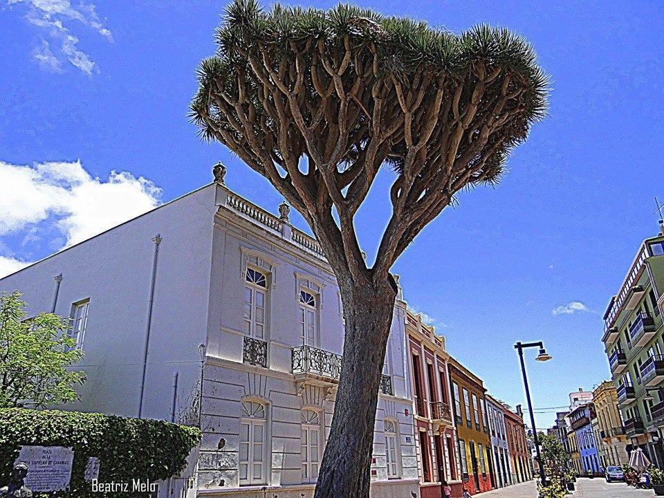 Apartamento Maya La Laguna  Buitenkant foto